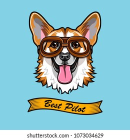 Corgi Pilot. Dog aviator. Welsh corgi portrait. Best pilot text. Vector illustration