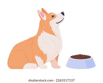 Corgi puppy. Cartoon cute corgi pet with dog food, happy domestic pedigree puppy waiting command to eat flat vector illustration