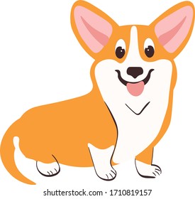 Corgi puppy dog animal , flat drawn vector isolated illustration on white background. Concept for logo, icon, cards 