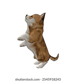 Corgi cachorrinho cão animal vetor ilustração isolado modelo de design incrível para adesivo ou logotipo