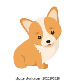 A corgi puppy on a white background. Cartoon dog design.