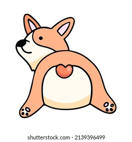 Corgi puppy, vector design element in doodle style, hand-drawn, isolated on a white background