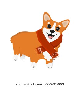 Corgi in a red scarf. Corgi dog vector cartoon illustration. Cute friendly welsh corgi puppy, isolated on white background.