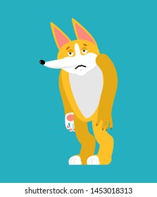 Corgi sad. Dog sorrowful. Pet dull. Vector illustration