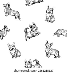 Corgi seamless pattern, hand drawn vector sketch, dog illustration