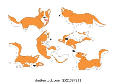 Corgi definido. Filhotes engraçados. Posturas diferentes - cão está correndo, sentado, vista traseira .Vetor