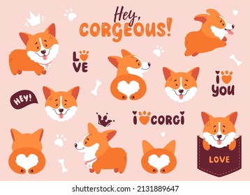 Corgi. Cachorros divertidos, letras a mano y otros elementos de diseño - hueso, coronas, corazones, huella. Posturas diferentes - el perro está parado, corriendo, sentado en un bolsillo, detrás de la vista de un lindo trasero. Vector