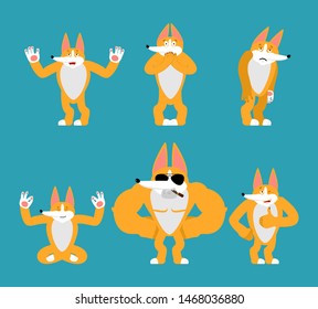 Corgi set poses. Dog happy and yoga. Pet sleeping and angry. guilty and sad. Vector illustration