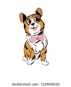 Corgi is sitting in a butterfly. Without background.