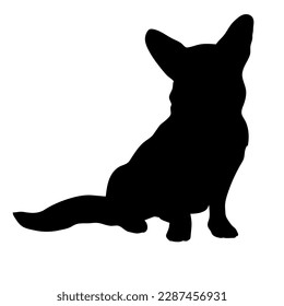 Corgi sitting dog silhouette. Vector dog breeds