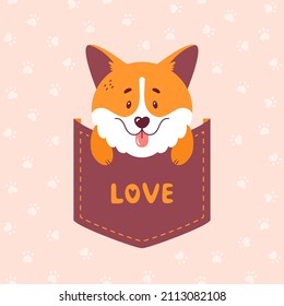 Corgi sitting inside the pocket - cute vector illustration. Welsh corgi puppy print for card or t-shirt design.