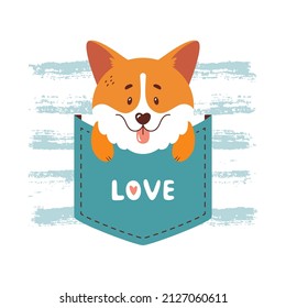 Corgi sitting inside the pocket - cute vector illustration isolated on white background. Welsh corgi puppy print for card or t-shirt design.