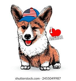 Corgi smile in cap with American flag. Slogan I love America. Independence day vector illustration.