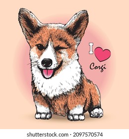 Corgi smile hand drawn vector illudtration