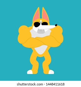 Corgi Strong Cool serious. Dog powerful. Pet strict. Vector illustration