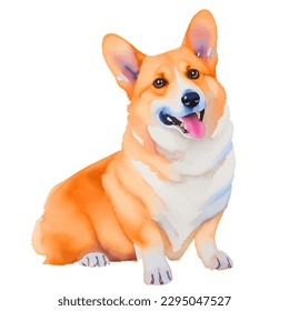 corgi with style hand drawn watercolor digital painting illustration
