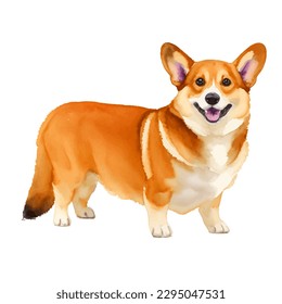 corgi with style hand drawn watercolor digital painting illustration