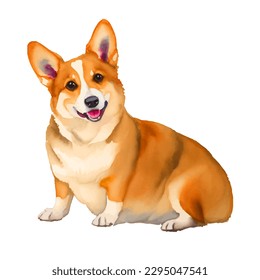 corgi with style hand drawn watercolor digital painting illustration