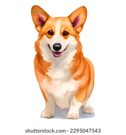 corgi with style hand drawn watercolor digital painting illustration