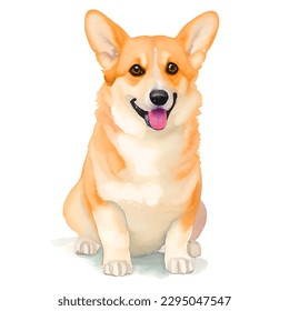 corgi with style hand drawn watercolor digital painting illustration