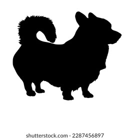 Corgi with a tail dog silhouette. Vector dog breeds