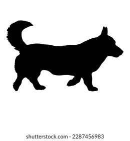 Corgi with a tail  dog silhouette. Vector dog breeds