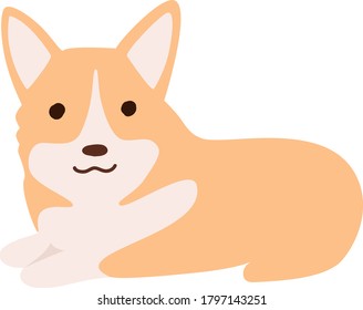 Corgi vector illustration. Cute puppy pictute. Dog clipart.