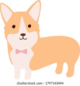 Corgi vector illustration. Cute puppy pictute. Dog clipart.