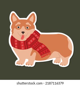 Corgi in einem warmen Schal. Ziehe handgezeichnete Aufklebergrafik.