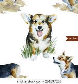 corgi, watercolor, dog, animal pattern