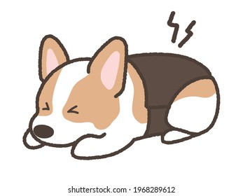 corgi wearing corset because of Low back pain, herniated disc
