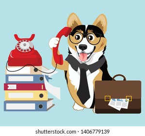 Corgi Work and Receive a Phone Calls