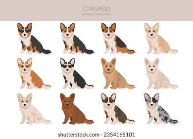 Corgipoo clipart. Welsh corgi Poodle mix. Different coat colors set.  Vector illustration