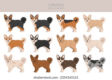 Corgipoo clipart. Welsh corgi Poodle mix. Different coat colors set.  Vector illustration