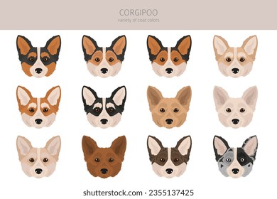 Corgipoo clipart. Welsh corgi Poodle mix. Different coat colors set.  Vector illustration