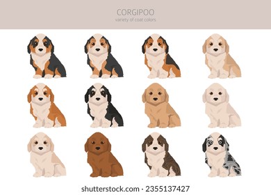 Corgipoo clipart. Welsh corgi Poodle mix. Different coat colors set.  Vector illustration