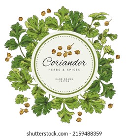 Coriander aroma plant frame or label design, hand drawn sketch vector illustration isolated on white background. Badge or label frame design for coriander packs.