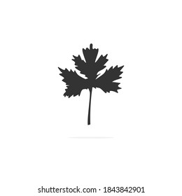 Coriander black icon. Parsley leaves vector illustration isolated on white. Cilantro symbol.