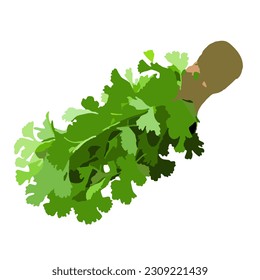 coriander, celery, Vegetable, Fresh, Green, Organic, Nutritious, Garden-fresh, Leafy, Juicy, Delicious, Farm-to-table, Wholesome, Seasonal, Crisp, Locally sourced, Nourishing, Fiber-rich, Healthy, Sha