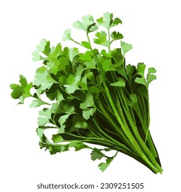 cilantro, apio, verduras, frescos, verdes, orgánicos, nutritivos, frescos en el jardín, leafy, jugoso, delicioso, de granja a mesa, sano, estacional, de crisp, de origen local, nutritivo, rico en fibra, sano