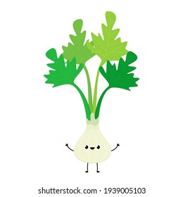 Coriander character design. Coriander cartoon vector on white background.