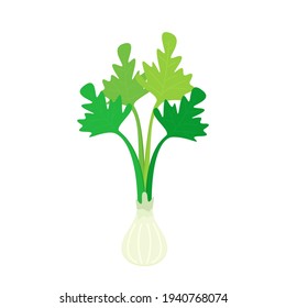 Coriander character design. Coriander cartoon vector on white background.