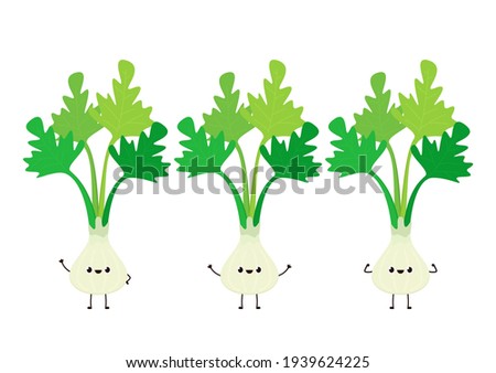 Coriander character design. Coriander cartoon vector on white background.