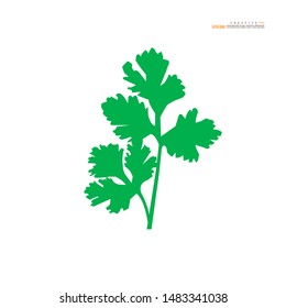 coriander or cilantro icon on white background. vector illustration.