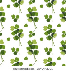 Coriander and cilantro seamless pattern. Cooking herbs and spices, Italian food and aroma herbs endless texture for wrapping design. Coriander and cilantro seamless design, vector flat illustration.