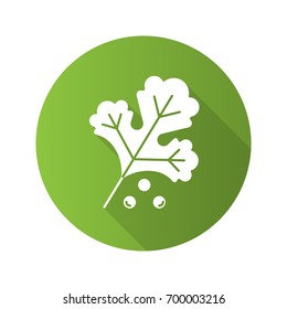 Coriander flat design long shadow glyph icon. Vector silhouette illustration