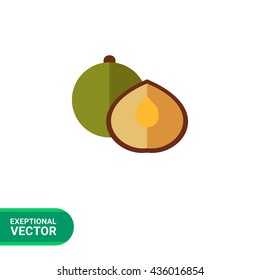 Coriander flat icon