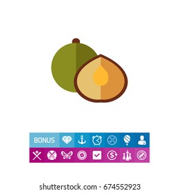 Coriander flat icon