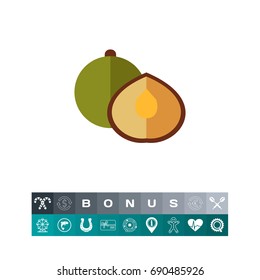 Coriander flat icon