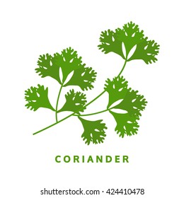 Coriander Herb, Chinese Parsley, Food Vector Illustration, Isolated Logo